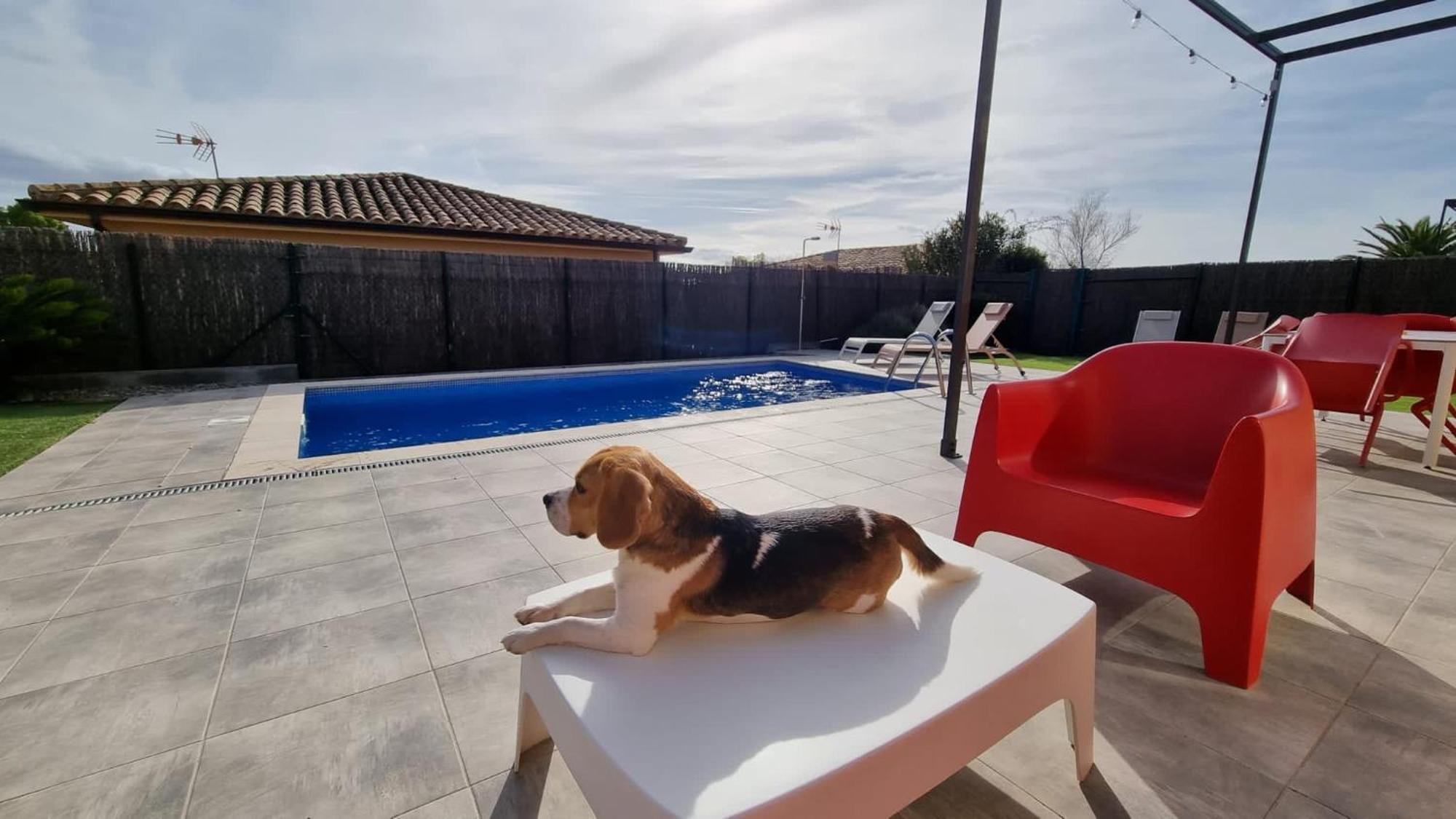 Villas Medes Mar - Plus Costa Brava L'Estartit Eksteriør bilde
